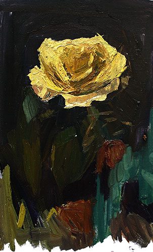 Yellow Rose