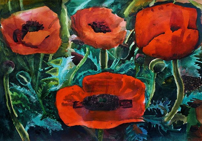 Red Poppies